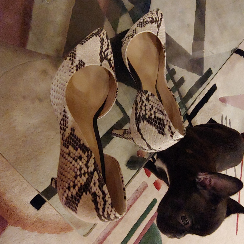 Lord & Taylor Python designed stilettos - Picture 5 of 5